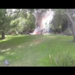 شاهد تحطم طائرة ومقتل جميع من فيها حرقًا