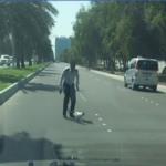 فيديو .. سائق يوقف المرور من أجل قطة