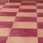 شاهد تعليق الدراسة في احد المجمعات بسبب الثعابين