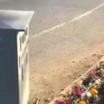 شاهد مواطن سعودي وهو يتوسل إلى نظام ساهر