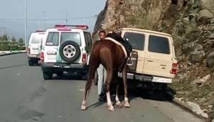 بالفيديو .. توقع المكافأة ولكنه نال مخالفة مرورية