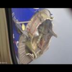 تفكك محرك الطائرة في الجو يرعب الركاب