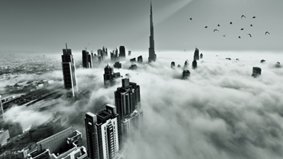 الشفافية هي مفتاح نجاح المشاريع الريادية في منطقة الشرق الأوسط