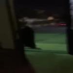 مواطن يصور سيدة تقتحم منزله .. فيديو