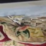 فوجئ بذئب في منزله .. فيديو