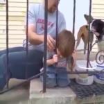 شاهد كيف استطاع هذا الطفل إنقاذ نفسه .. عندما فشل والده في ذلك