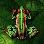 شاهد هذا الإبداع في الفن .. باستخدام الأشخاص