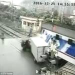 بالفيديو .. قطار يشطر شاحنتين والمدهش .. لم يتوفى أحد