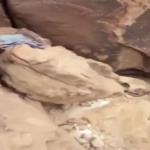 شاهد لحظة اصطياد ذئب من داحل مغارته