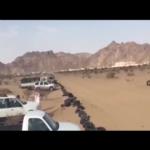 شاهد انحراف حصان عن مضمار السباق بالسعودية