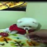شاهد رفض الكلب أخذ الدواء .. فيديو طريف
