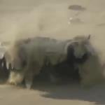 شاهد ما انتهى له تطعيس هذه السيارة