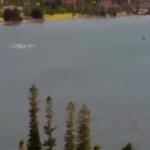 شاهد لحظة سقوط طائرة في النهر بأستراليا