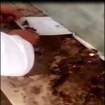 بعد جهود 3 شهور متواصلة ..سعودي ينجح في إنقاذها