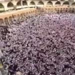 شاهد توقف المطاف حول الكعبة