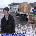 حيوان الرنة يوصل البيتزا للمنازل في الكريسماس