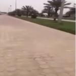 لماذا سخر هذا المواطن من لافتات حديقة تبوك .. فيديو