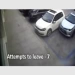 أكثر الأشخاص فشلًا في قيادة السيارة .. لم ينجح في في إخراج السيارة إلا بعد المرة العشرين