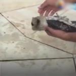 شاهد كيف أصبح هذا الأب بطلًا في أعين ابنه