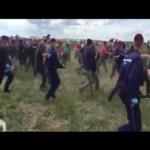 محاكمة المراسلة التي تعرقل اللاجئين وتوقعهم أرضًا