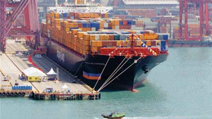 نمو قطاع الشحن البحري في الإمارات 8% خلال النصف الأول