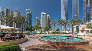 كاميرات ذكية لرصد مخالفات رمي القمامة في دبي