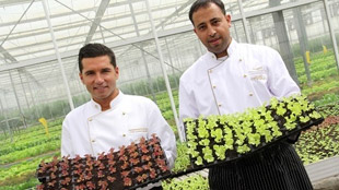 الاتحاد للطيران تعزز مسيرتها على مستوى الغذاء العضوي