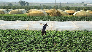  6% نمو متوقع للناتج المحلي للسعودية خلال العام الجاري