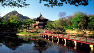 شراكة استراتيجة بين الإمارات وكوريا الجنوبية 