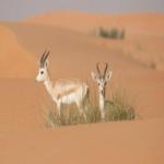 فورد تخفّض من استخدام الطاقة بنسبة 22%، وتخطّط إلى تخفيضها بنسبة 25% بحلول العام 2016