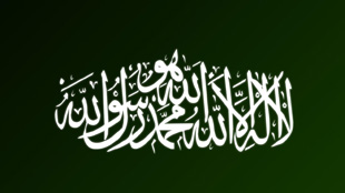 السعودية أكبر مضيف للاستثمار العربي البيني بحصة تبلغ 27%