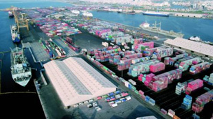 67.3 مليار دولار قيمة التجارة الخارجية للإمارات مع أفريقيا