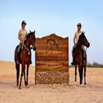 افتتاح اسطبلات جزيرة صير بني ياس 