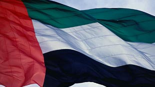 الإمارات تنال المركز الأول عالمياً في إعادة تصدير الشاي 2007-2011