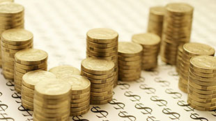 كم سيبلغ حجم إصدارات الصكوك الإسلامية مع نهاية 2013؟