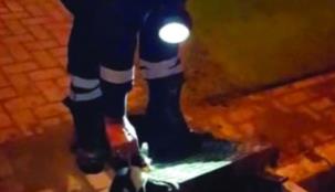 شرطة دبي تنقذ قطة صغيرة