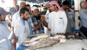 بلدية دبي تراقب تطبيق قرار منع صيد "الشعري" و"الصافي العربي"