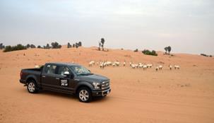 فورد تدعم مبادرة رحلات المحافظة على البيئة التي تهتمّ بالحياة البرّية الفطرية في الإمارات