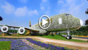 طيران الإمارات وميراكل غاردن تبنيان أكبر طائرة A380 بالحجم الحقيقي من الزهور