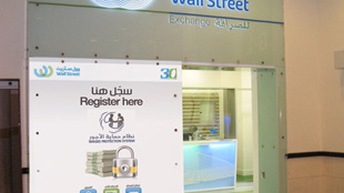 الشركات الخاصة في نظام حماية الأجور عبر مكاتب بريد الإمارات