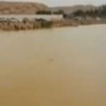 شاب سعودي يصارع الموت في مياه أحد السدود بالفيديو