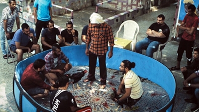 «مهرجان دبي السينمائي الدولي» يعلن الدفعة الأولى