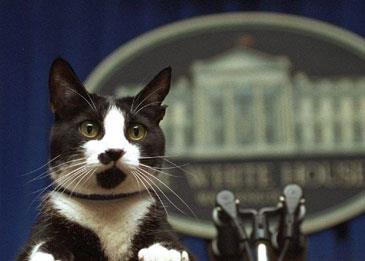 عائلة ترامب لا تفكر حالياً في اقتناء أي حيوان أليف