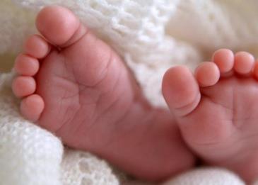 زوجان أمريكيان يرزقان بأول أنثى بعد إنجابهما 14 صبيًا