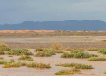 نجاة سعودي من موت محقق في الصحراء بسبب جملة صغيرة