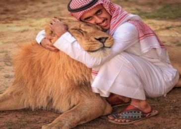 شاب سعودي يروض الحيوانات المفترسة