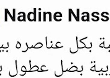 ما هي رسالة نادين نسيب نجيم لفريق الهيبة 2
