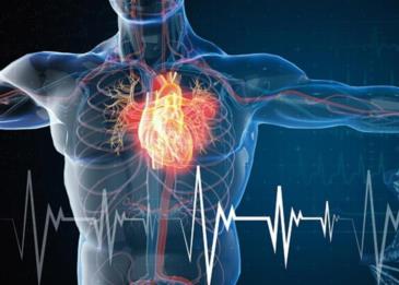 دراسة تؤكد أن زيادة الراتب تحمي من أمراض القلب والسكتات الدماغية