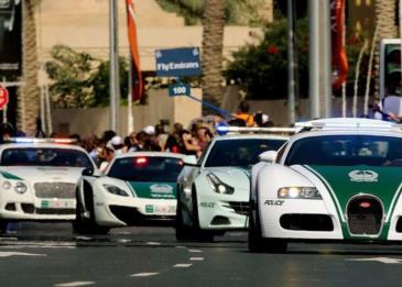 شرطة دبي تحقق رفاهية موظفيها عبر مبادرة نقاط السعادة