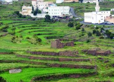 أكبر مزرعة مستدامة في العالم تدخل السعودية موسوعة "غينيس"